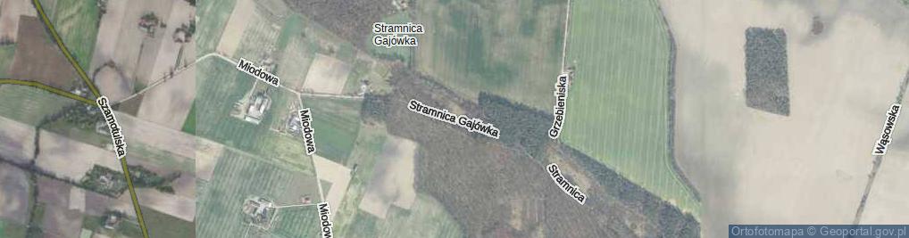 Zdjęcie satelitarne Stramnica Gajówka ul.